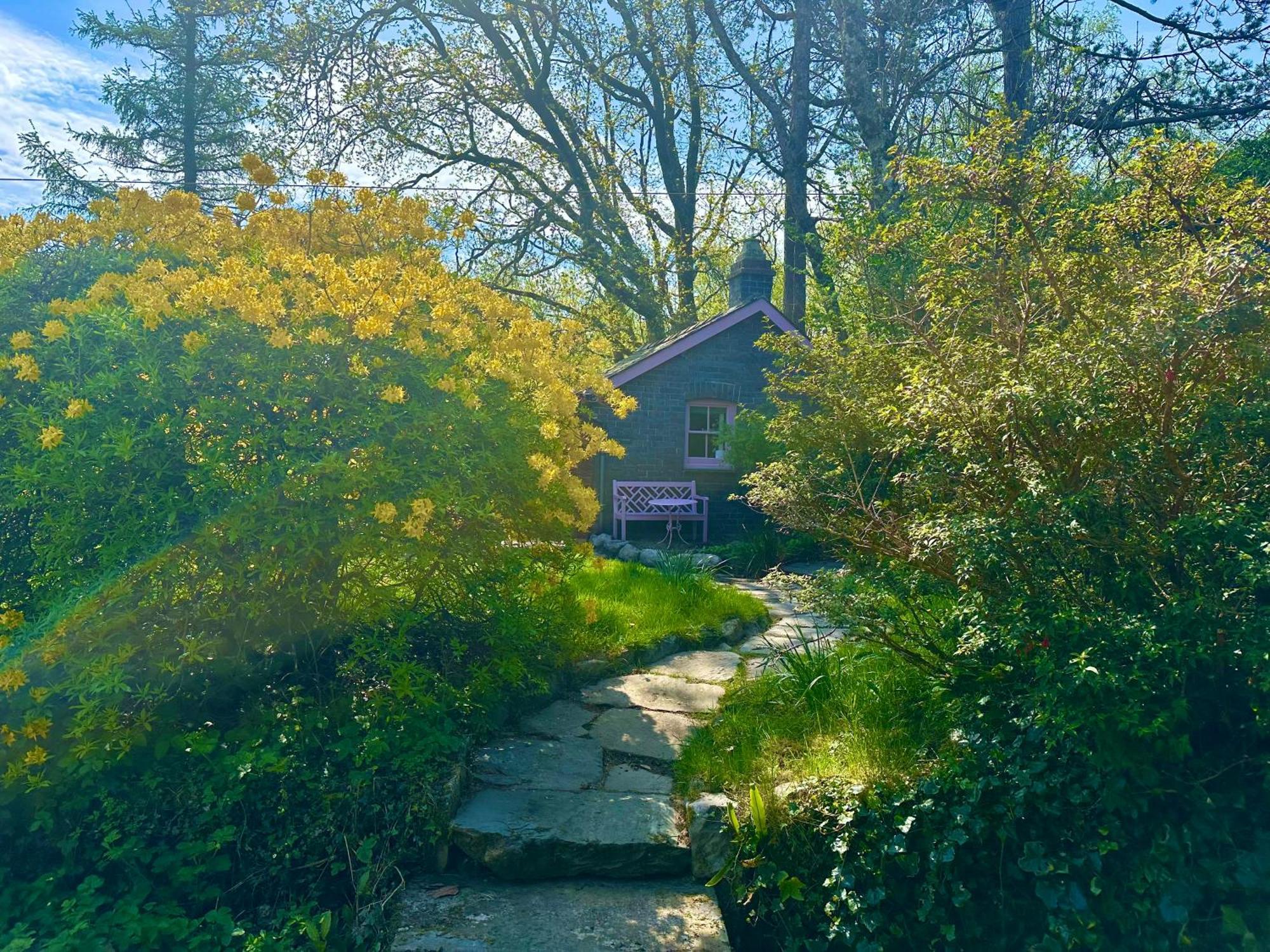 Tiny Romantic Retreat With Hot Tub On A Country Estate Near Cardigan Bay In Eryri Snowdonia Llanbedr  Exterior photo